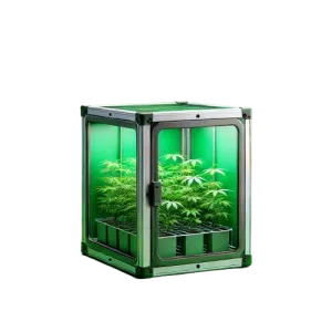 Digitales Mojo: growbox